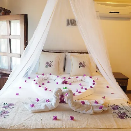 Hotel Loca 5*